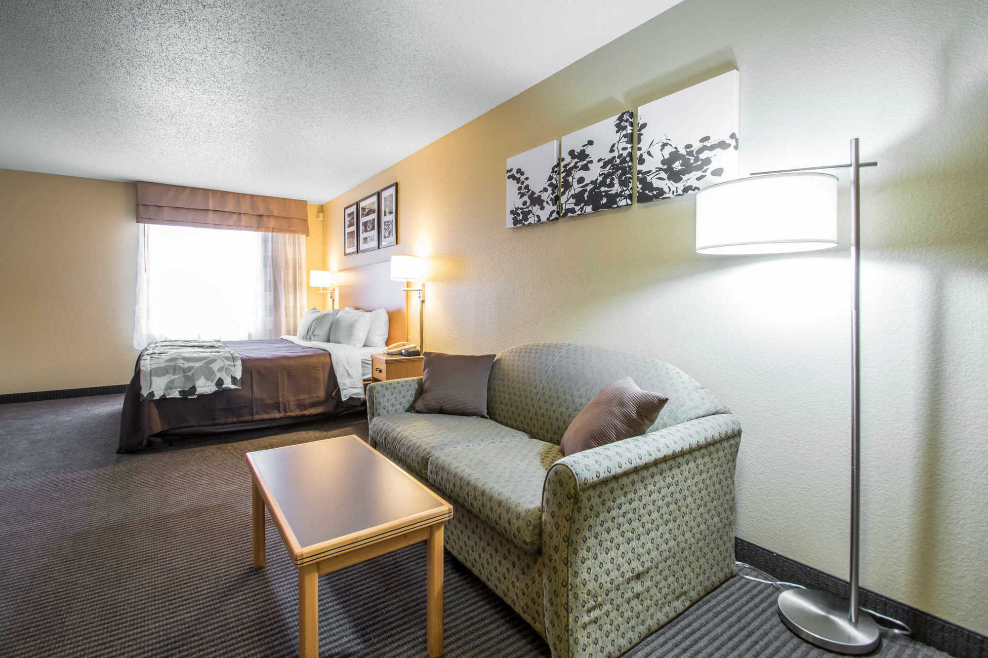 Sleep Inn & Suites Sheboygan I-43 Δωμάτιο φωτογραφία